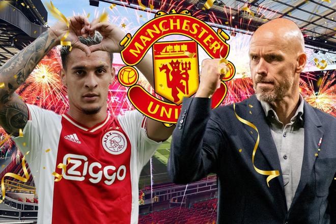 的职业运动 的职业运动